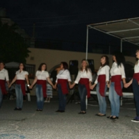 organomena_sin_ginekes2