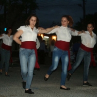 organomena_sin_ginekes1